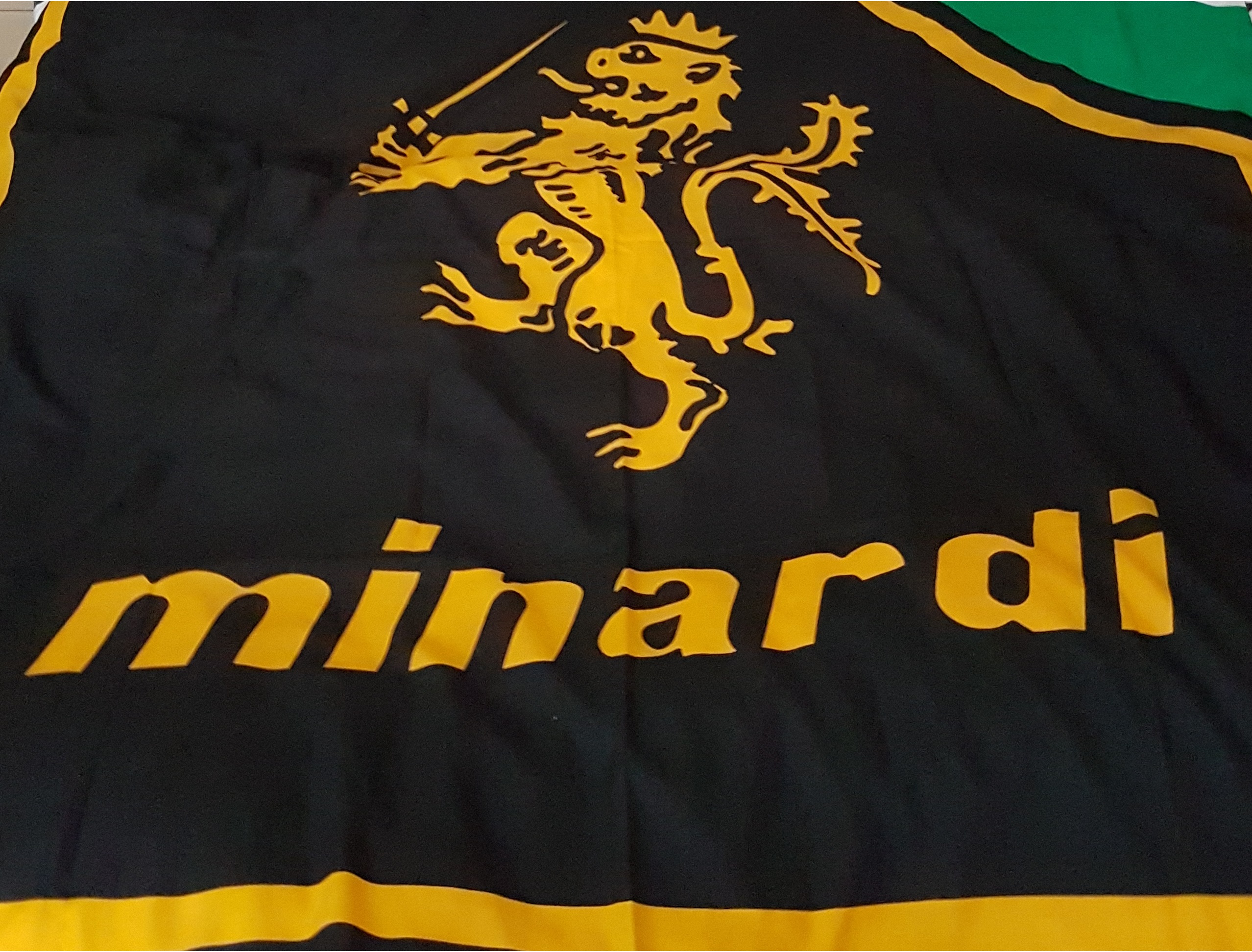 Forza Minardi